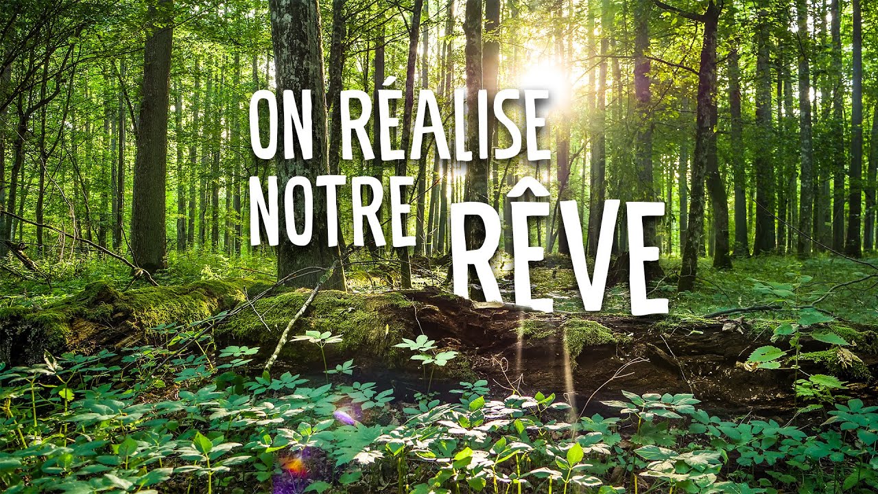 [EP10] ON DÉCOUVRE UNE FORÊT PRIMAIRE