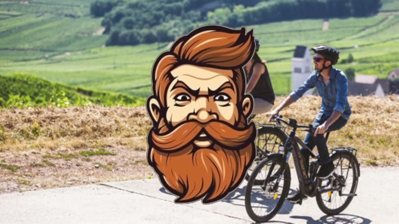 Les avantages du VAE (Vélo à Assistance Electrique) dans une démarche d'#ecologie et d'#autonomie