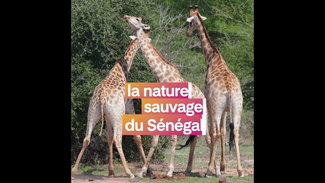 Partez partout dans le monde au départ de Toulouse (programme hiver 24/25)
