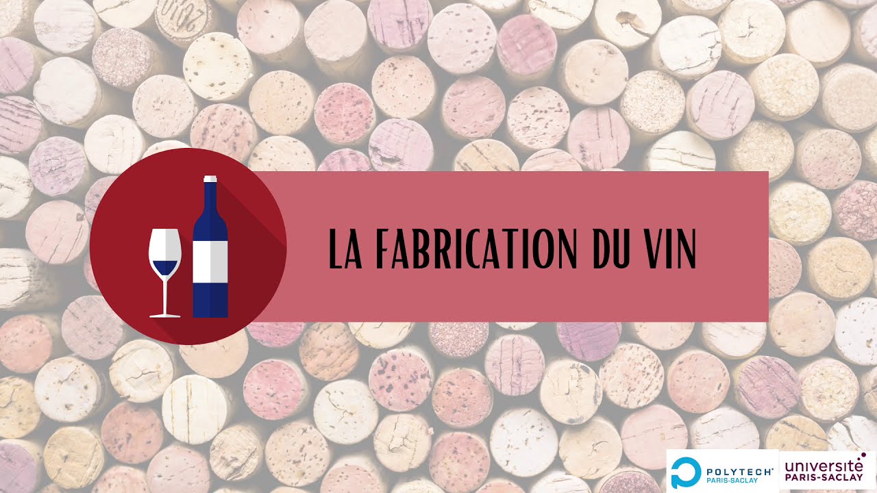 2020-2021: Tout savoir sur la fabrication du vin !