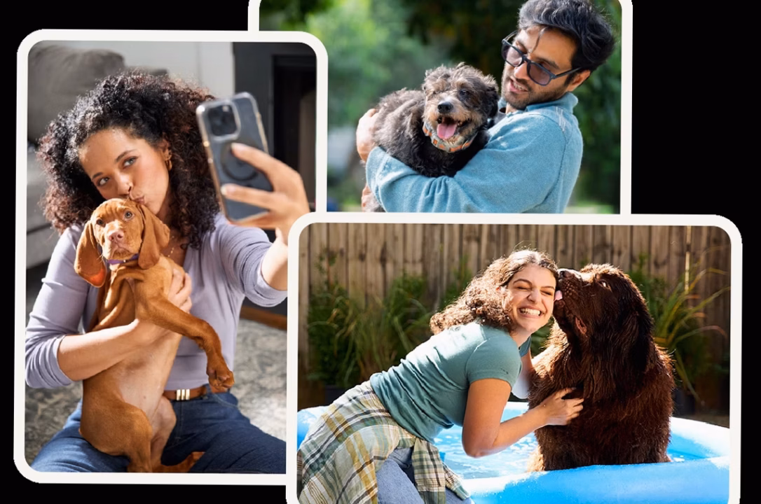 Vacances en duo : vivre des moments inoubliables avec votre animal de compagnie !