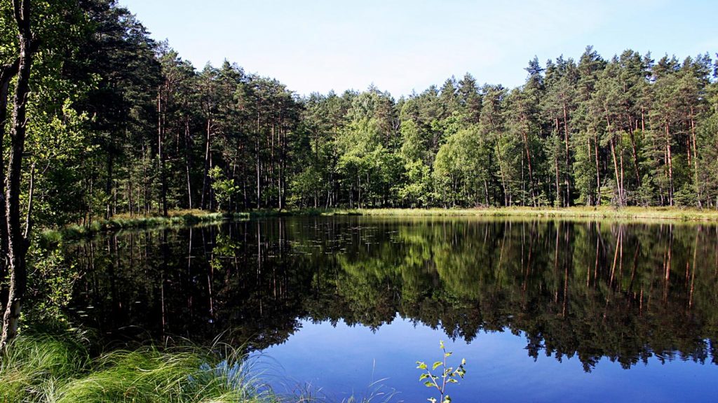 Parc National de Bory Tucholskie
